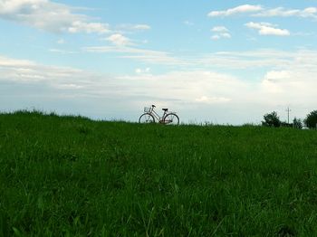Scenic view of grassy field against sky