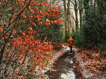 Rear view of man walking in forest during autumn