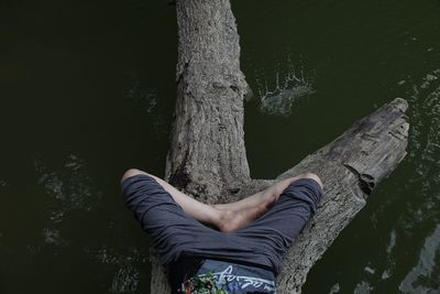 Low section of man sleeping on tree above lake