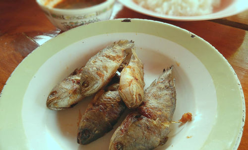 High angle view of fish in bowl