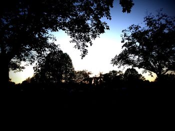 Low angle view of silhouette trees against sky at sunset