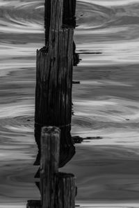 Wooden posts in sea