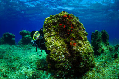Portrait of scuba diver hiding behind coral undersea