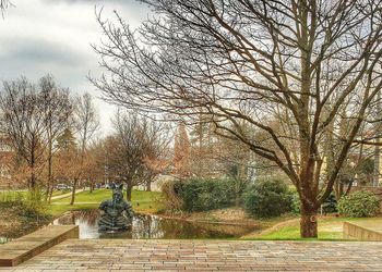 Bare trees in park