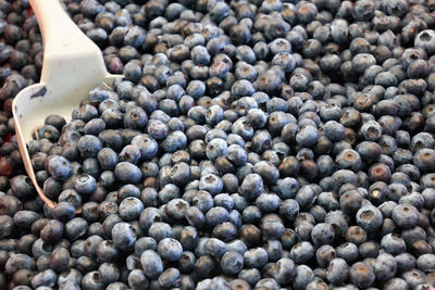 Full frame shot of blueberries