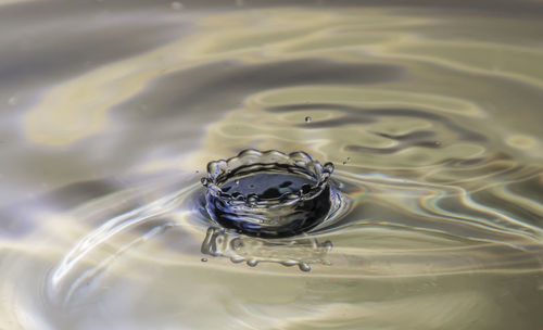 Close-up of splash crown