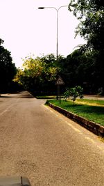 Empty road along trees