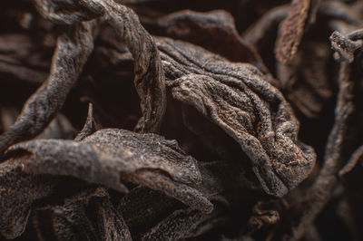 Close-up of a dry leaf of black ceylon tea in macro. extreme macro dark tea background