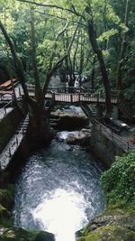 Bridge over river in forest