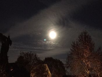 Low angle view of trees against sky at night