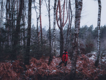 Man standing by trees in forest