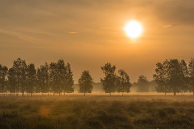 Scenic view of field against sky during sunset