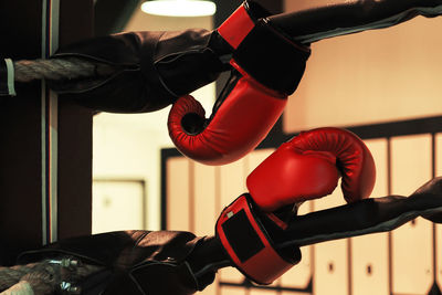 Red boxing gloves at the gym  photography