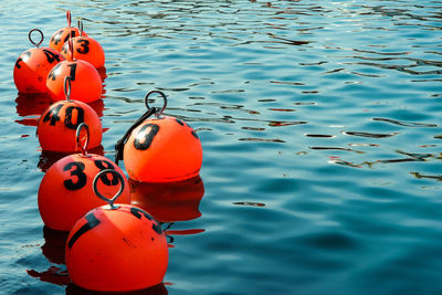 High angle view of red floating on water