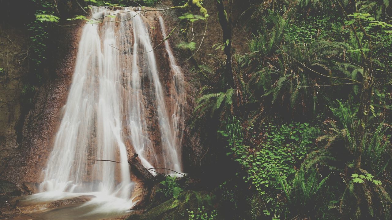 waterfall, motion, water, flowing water, long exposure, flowing, beauty in nature, splashing, tree, nature, forest, scenics, blurred motion, rock - object, plant, power in nature, growth, environment, idyllic, outdoors