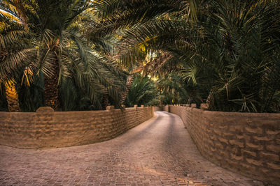 Scenic view of palm trees on sunny day