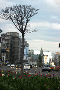 View of city street and buildings against sky