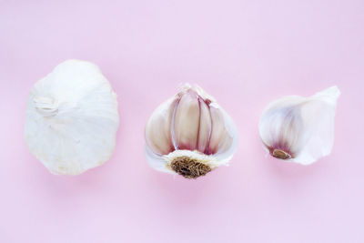 Close-up of garlic against white background