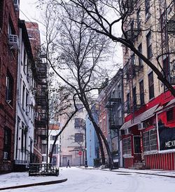 Bare trees by snow covered city against sky