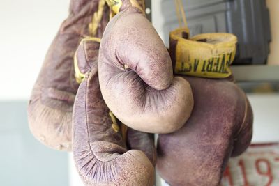 Close-up of hand holding apple