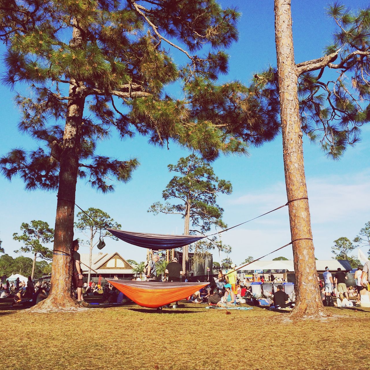 LOW ANGLE VIEW OF CAROUSEL AGAINST SKY