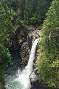 Scenic view of waterfall in forest