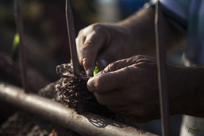 Cropped image of man hanging fishing net on railing