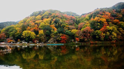 Scenic view of lake by trees during autumn