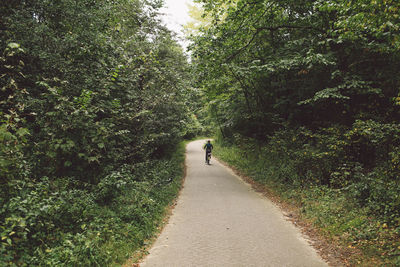 Rear view of person riding bicycle on road amidst trees