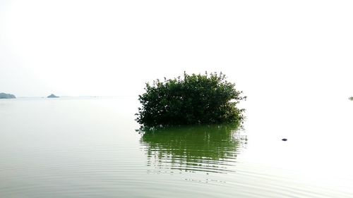 Scenic view of lake against clear sky