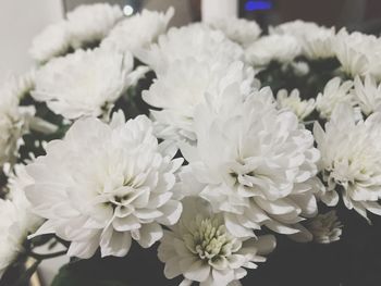 Close-up of white flowers blooming outdoors