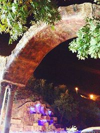 View of trees in the dark