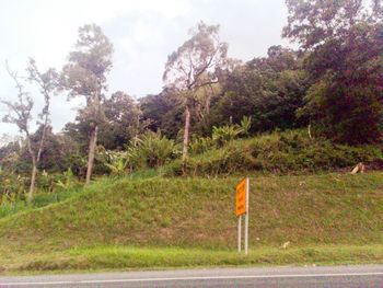 Scenic view of landscape against clear sky