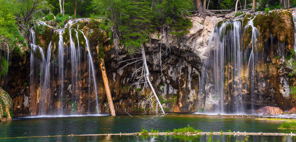 View of waterfall along trees