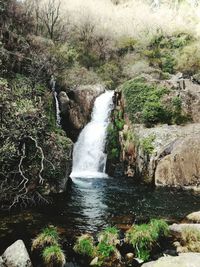 Close-up of waterfall against trees