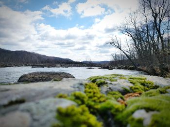 Scenic view of river against sky