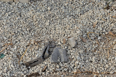 High angle view of pebbles on sand