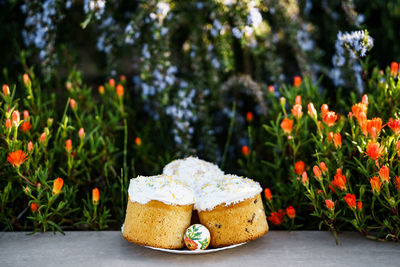 Close-up of cake against white flowering plants