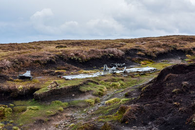 Scenic view of landscape against sky