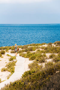 Rear view of man walking at beach against sky