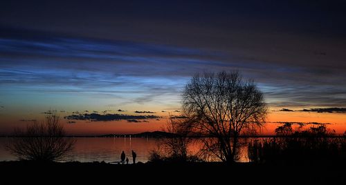 Silhouette of trees at sunset