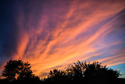 Low angle view of silhouette trees against orange sky