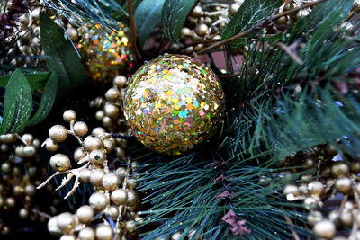 Close-up of shiny bauble on christmas tree