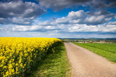 Scenic view of agricultural field against cloudy sky