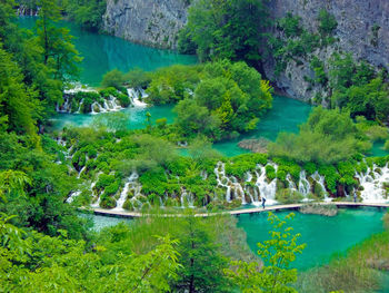 View of lake in forest