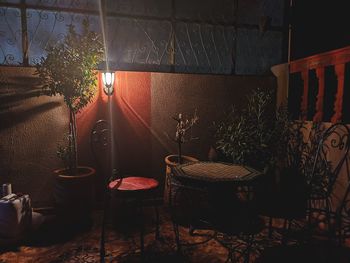 Potted plants on table against illuminated building