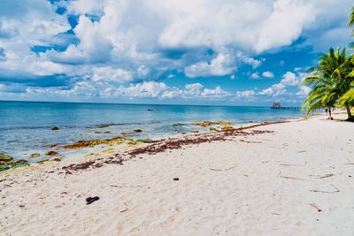 Scenic view of beach against sky