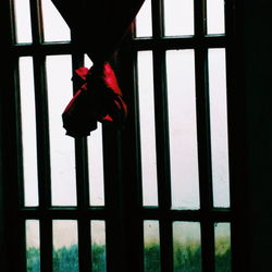 Close-up of person against window