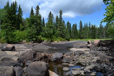 Scenic view of rocks in forest against sky