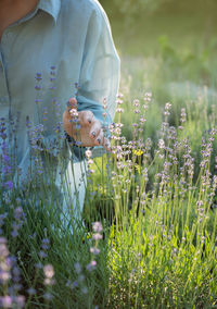 Beautiful young girl on lavender field. sunset. attractive young female outdoors.